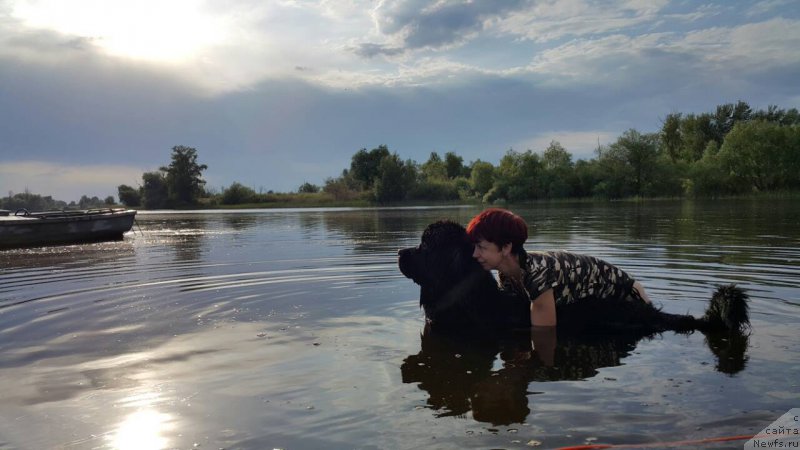 Фотография № 209017