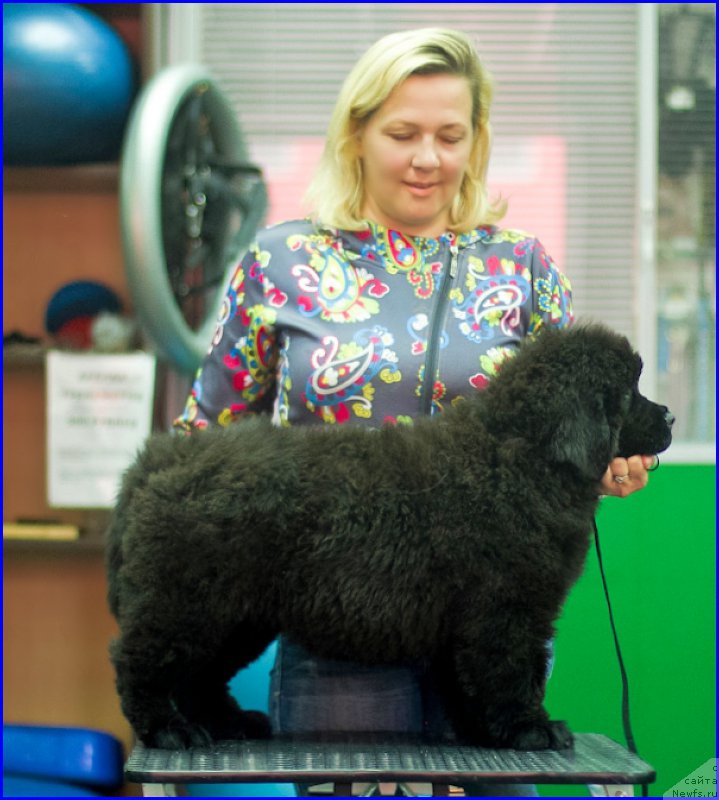 Фотография № 209023