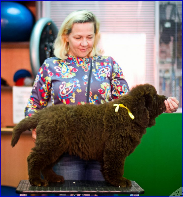 Фотография № 209031