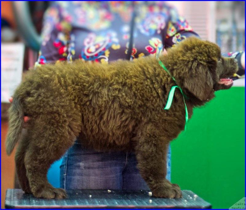 Фотография № 209034