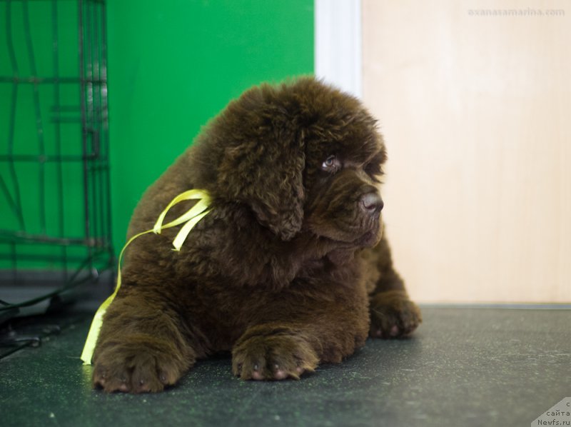 Фотография № 209062