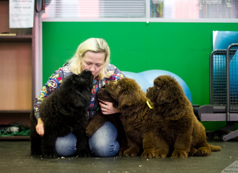 Фотография № 209063