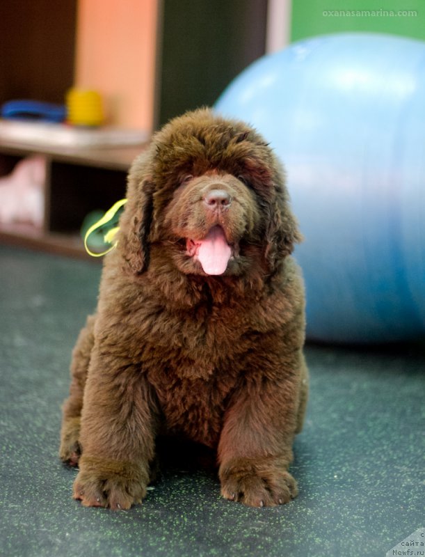 Фотография № 209067