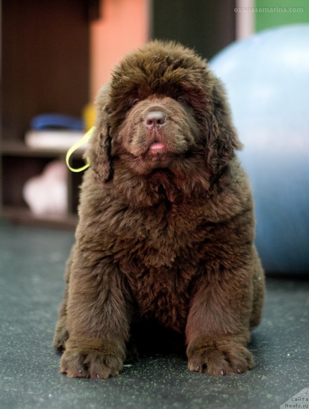 Фотография № 209068