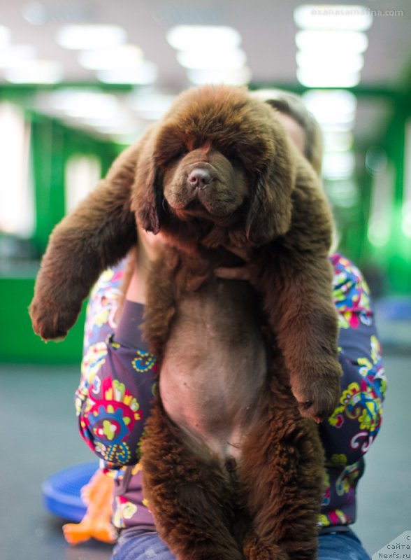 Фотография № 209071