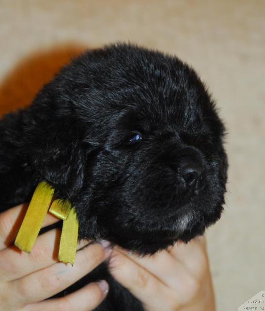 Фотография № 20908