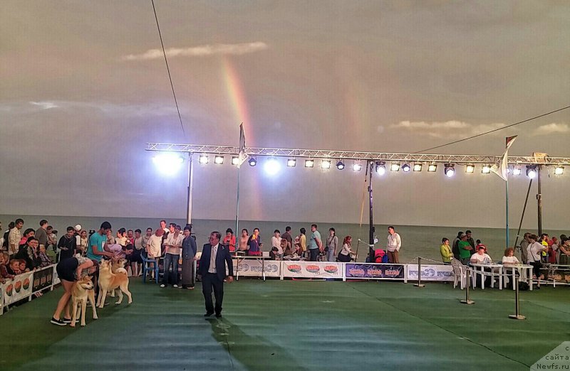 Фотография № 209098