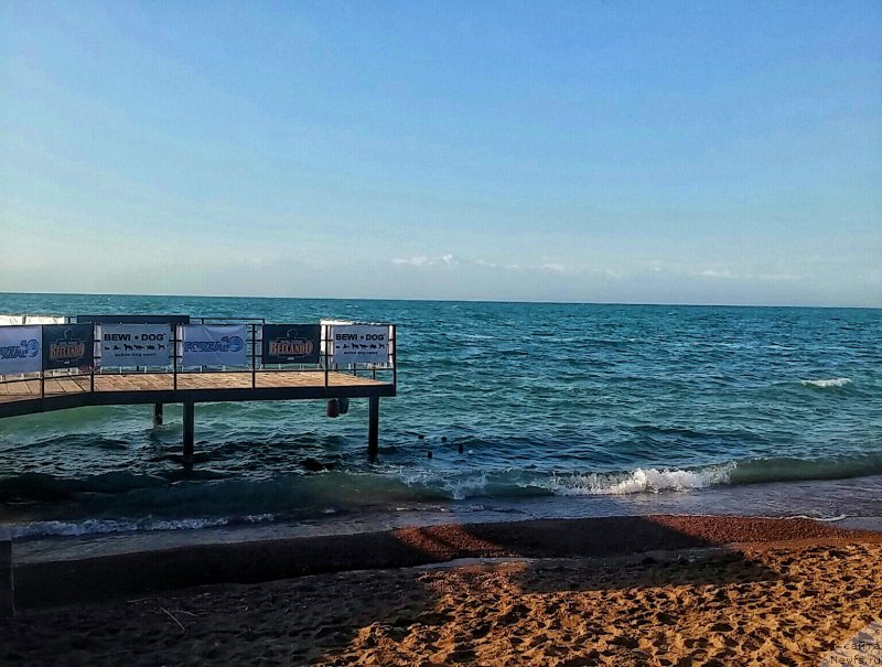 Фотография № 209099