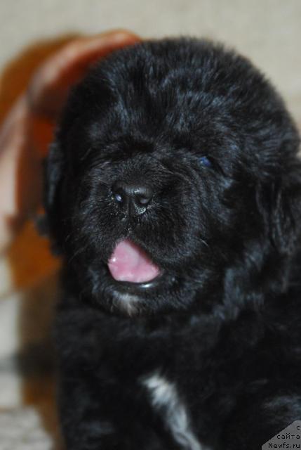 Фотография № 20910