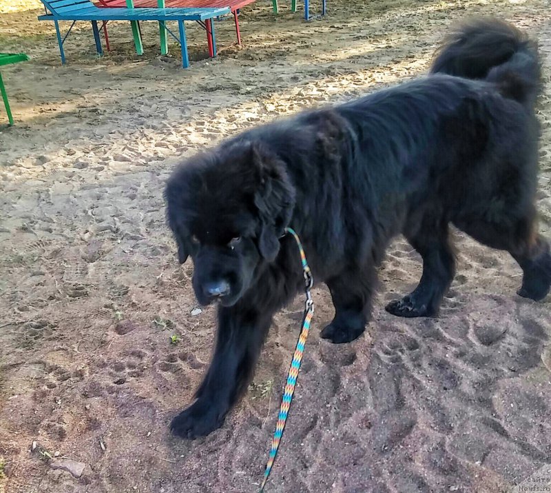 Фотография № 209100