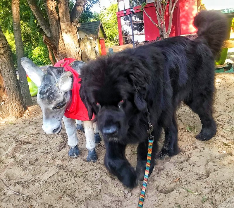 Фотография № 209102