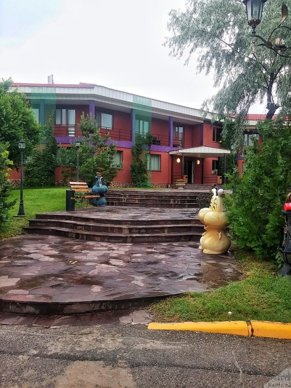 Фотография № 209106