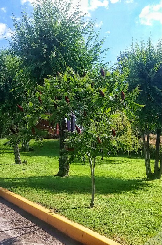 Фотография № 209107