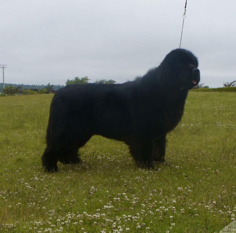 Фотография № 209140