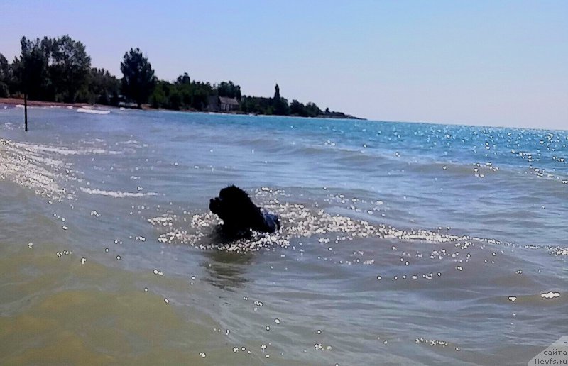 Фотография № 209167