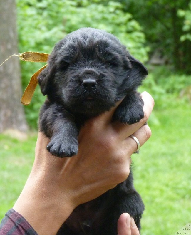 Фотография № 209211