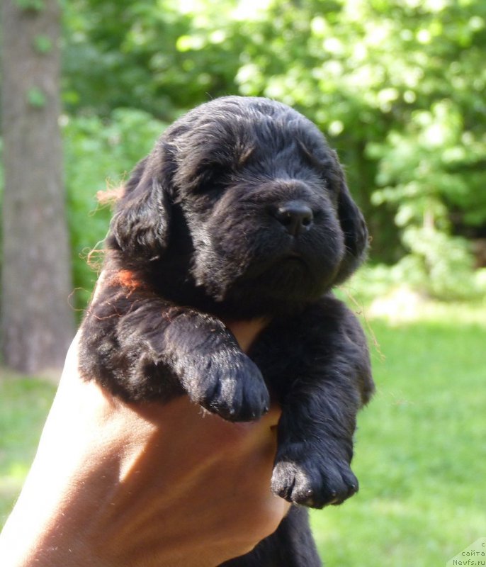 Фотография № 209213