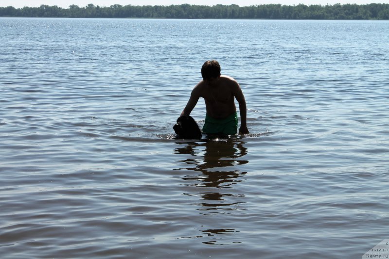 Фотография № 209243