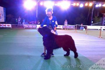 Фото: Жюстин с Берега Дона