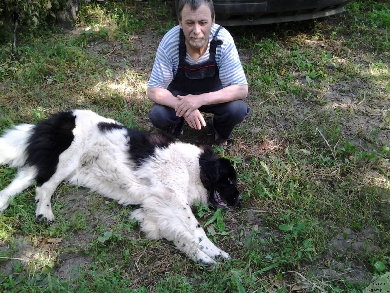 Фото: Даная[d14893] с папой