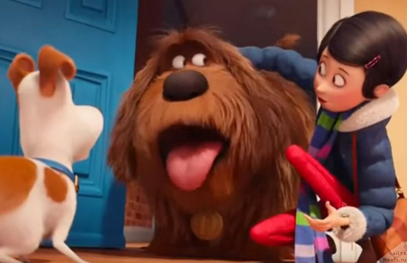 Фотография № 209294