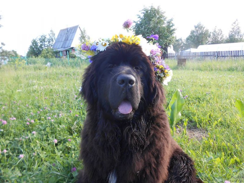 Фотография № 209297