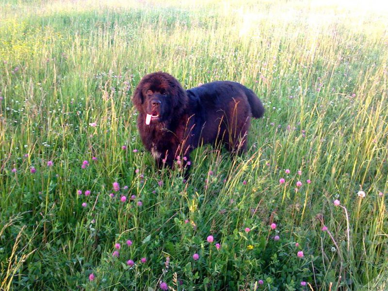 Фотография № 209298