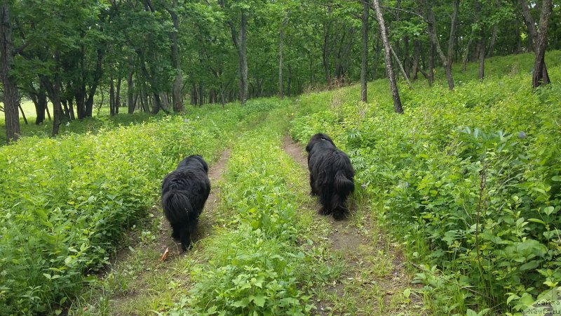 Фотография № 209315