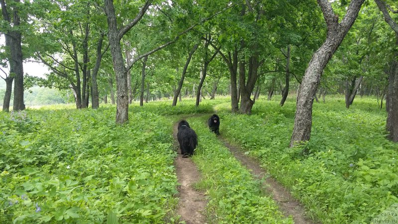 Фотография № 209316