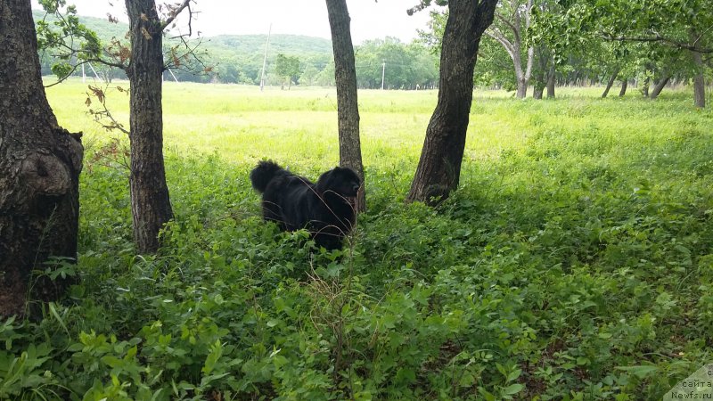 Фотография № 209317