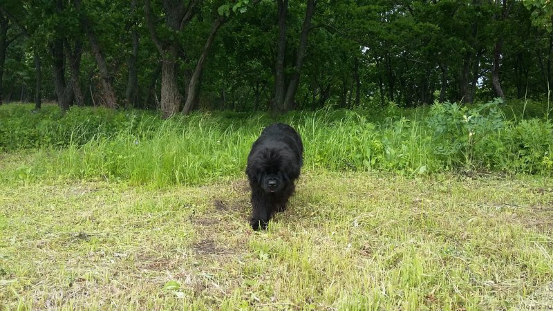 Фотография № 209318