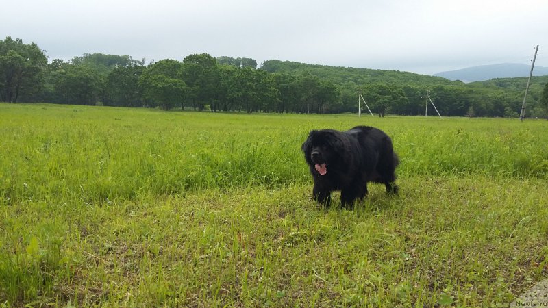 Фотография № 209320