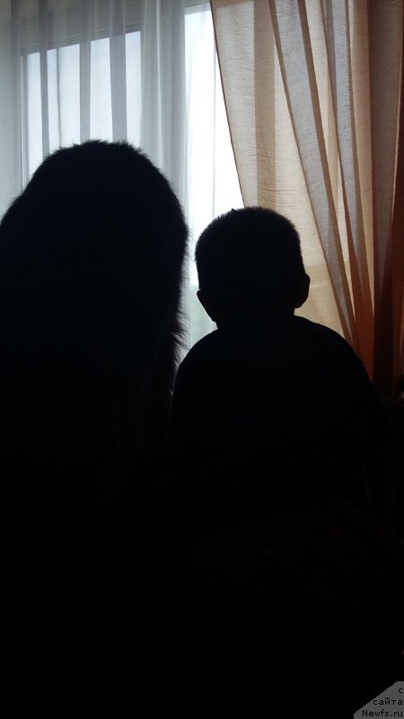 Фотография № 209321