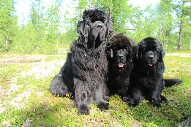 Фотография № 209324