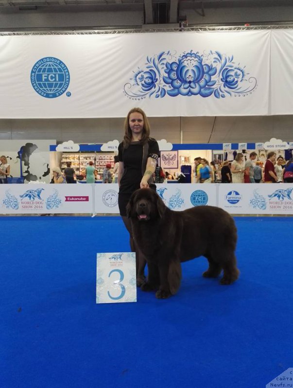 Фотография № 209342