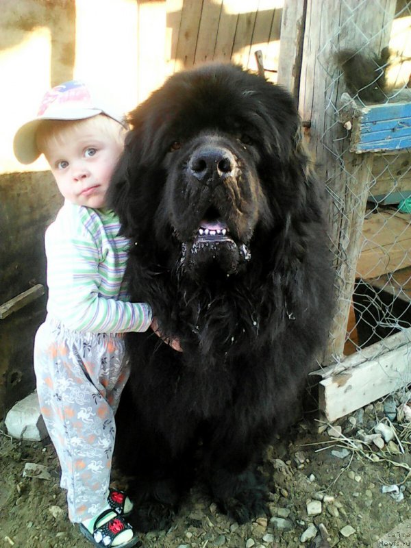 Фотография № 209343