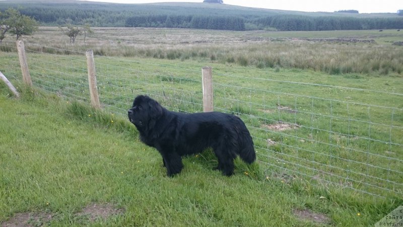 Фотография № 209344