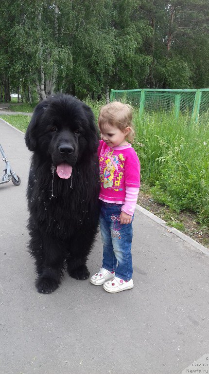 Фотография № 209362