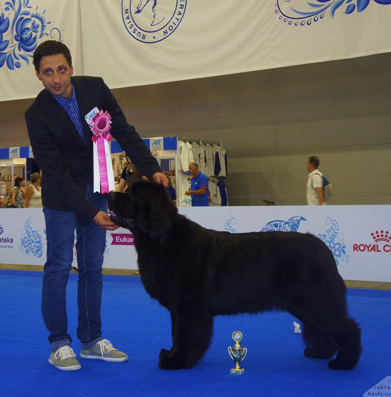 Фотография № 209366