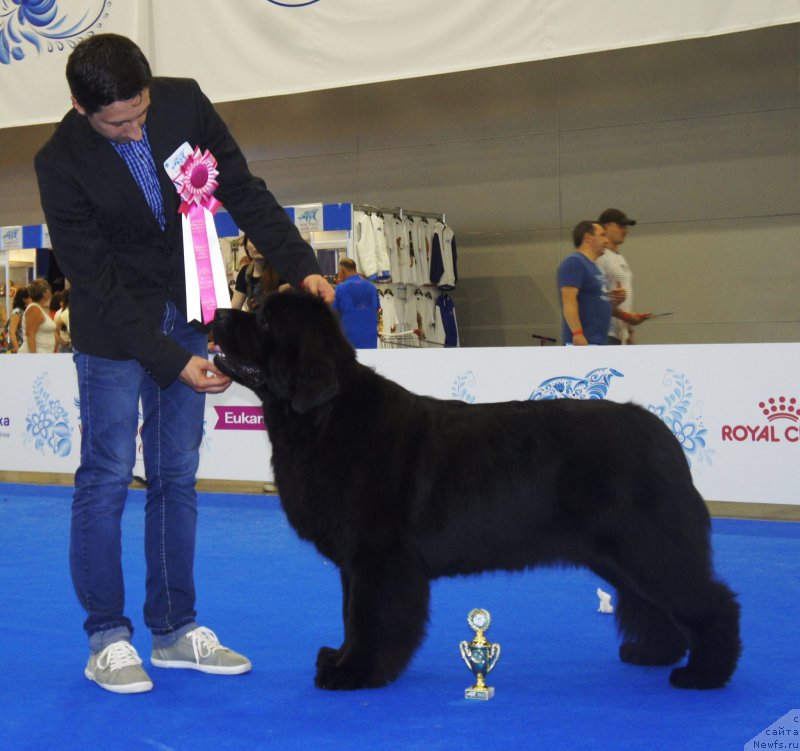 Фотография № 209367