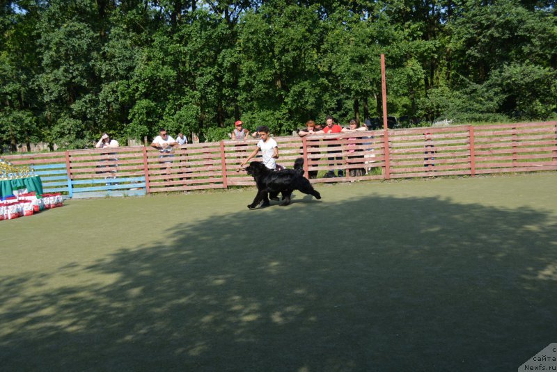 Фотография № 209369