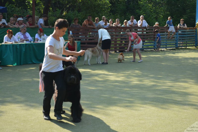 Фотография № 209371