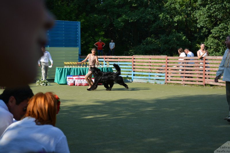 Фотография № 209373