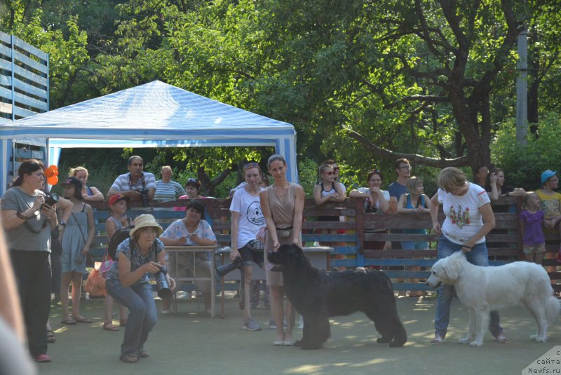 Фотография № 209374