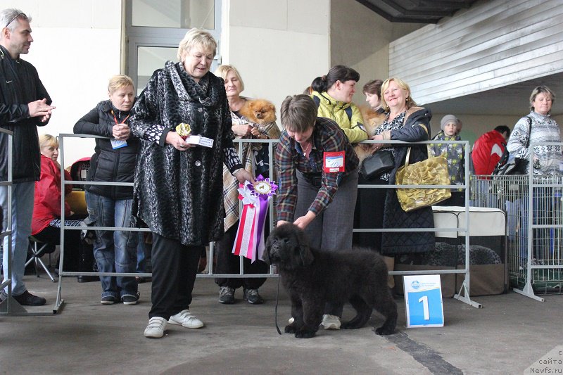 Фотография № 209383