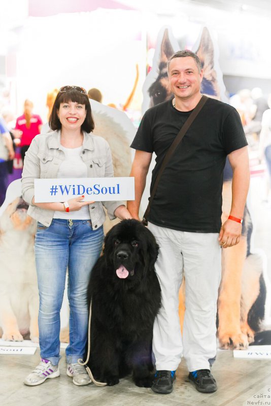 Фотография № 209385