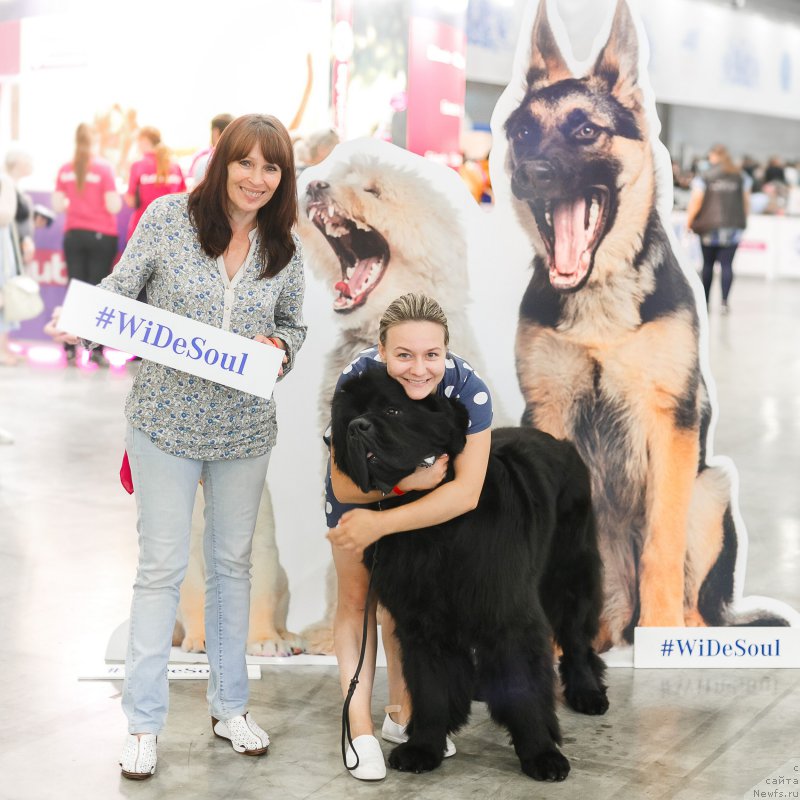 Фотография № 209386