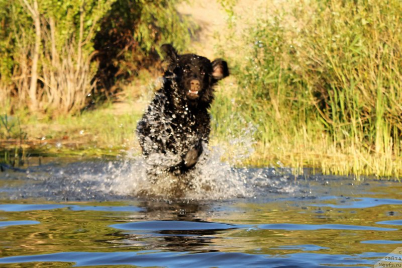 Фотография № 209392