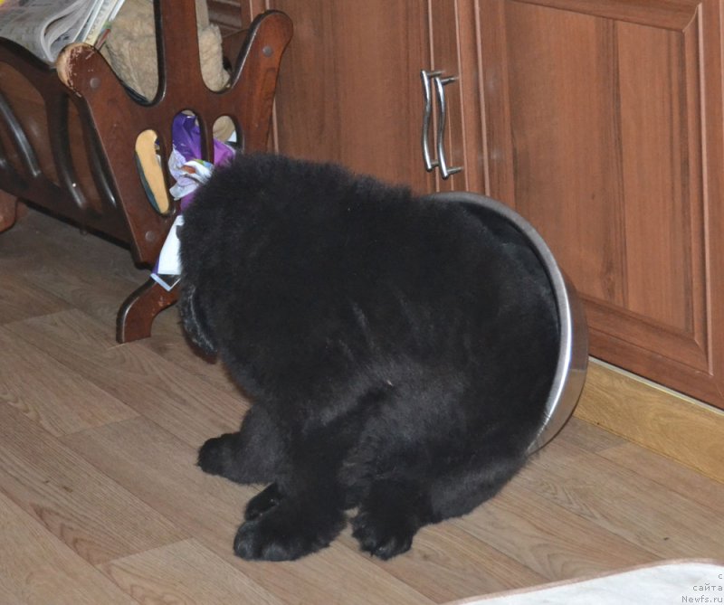 Фотография № 209421