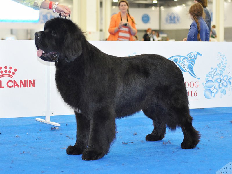 Фотография № 209425